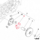 Piaggio Variator Roll 20x15 mm 19g Primavera/​Sprint 3V