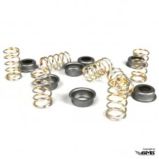 Pinasco Clutch Spring Set PX